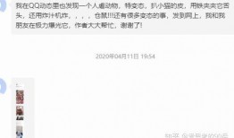 吃瓜爆料的qq群最新,吃瓜QQ群最新爆料，娱乐圈风云再起！