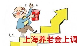 养老金最新爆料信息,揭秘最新爆料背后的政策调整与影响