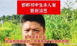 清秋最新爆料新闻事件,最新爆料事件引发社会热议