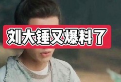 刘大锤最新爆料汇总,揭秘娱乐圈惊天秘密大汇总