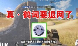 最新爆料蹦极游戏视频播放,揭秘最新蹦极游戏惊险瞬间